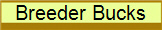 Breeder Bucks
